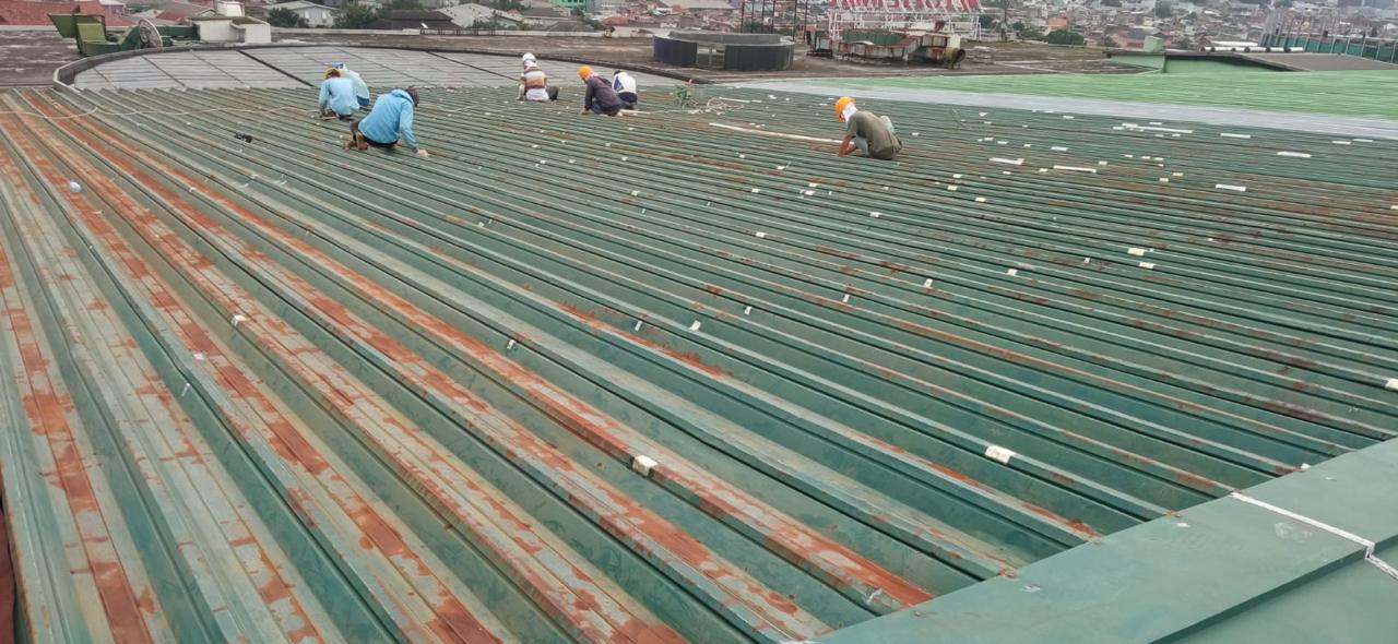 Roof Coating 3